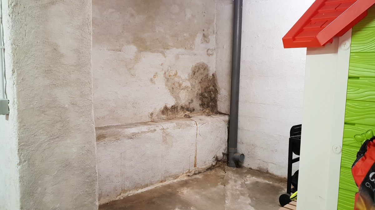 Infiltrations d'eau - Expertise humidité à Brest